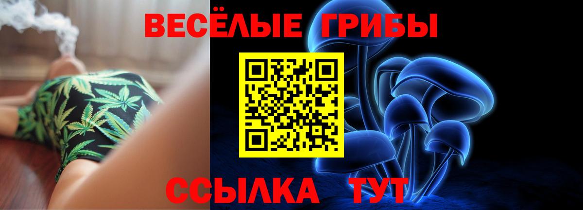 Псилоцибиновые грибы Cubensis Тобольск